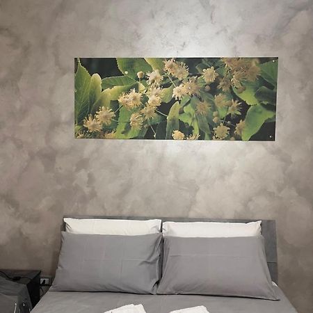 B&B Sulviale Ladispoli Zewnętrze zdjęcie