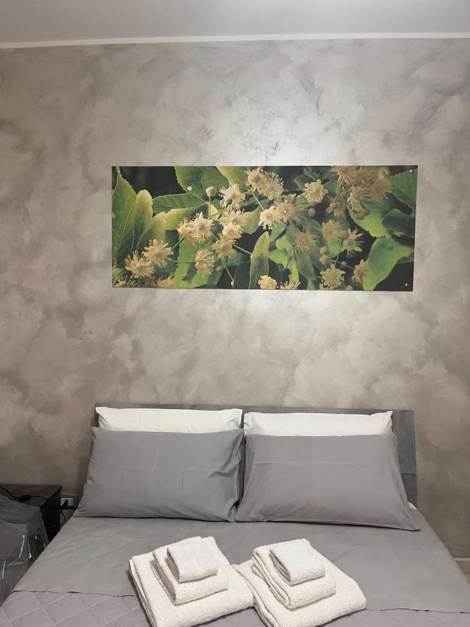B&B Sulviale Ladispoli Zewnętrze zdjęcie